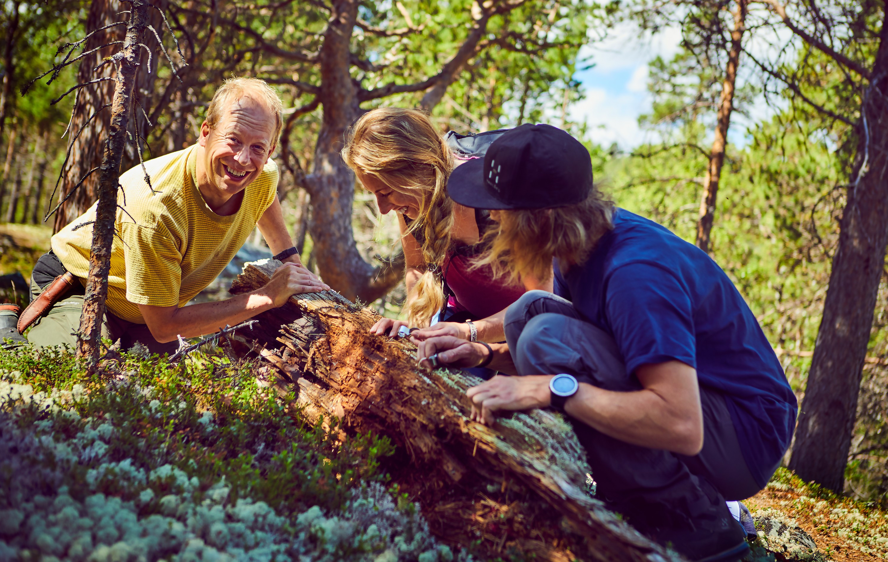 Tre personer i skogen studerer en rotvelte